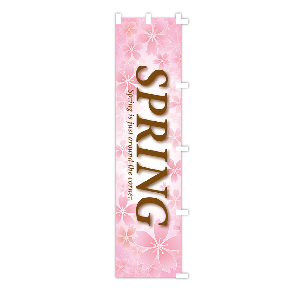 春のぼり旗　桜スプリング　のぼり旗　1枚