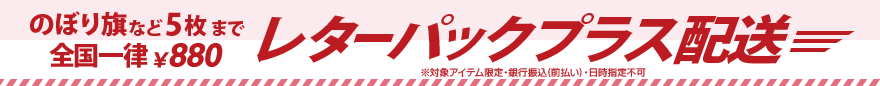 レターパックプラス配送